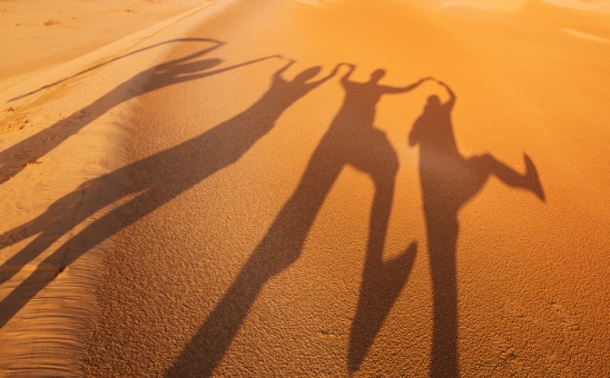 Best Africa Overland Tours for Budget Safari Travelers