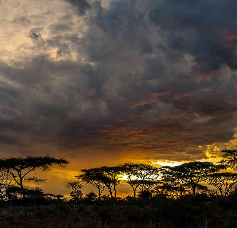 Serengeti sunset in November