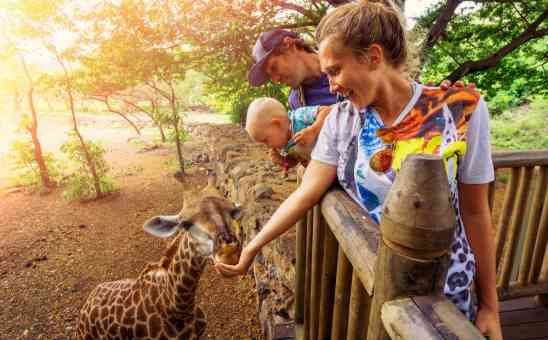 A Family Safari in Africa with Kids? Heres How to Plan on a Budget