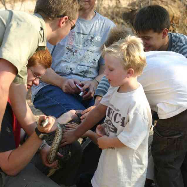 Kids on family safari
