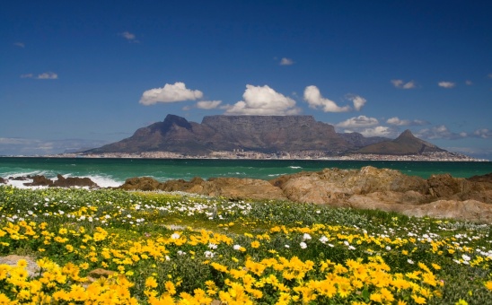 Best Things to Do in Cape Town (Part 1 of the Cape Travel Guide)