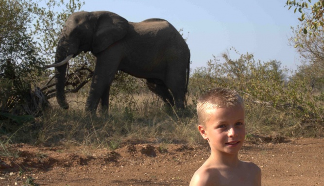 Childrens safari kid with elephant