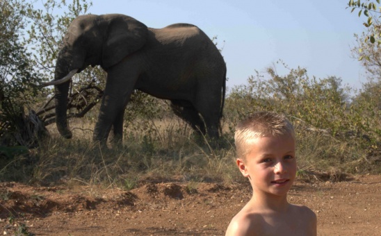 Safaris with Kids Made Easy: Top Tips for the Best Family Safari