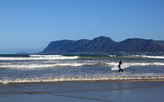 Top Nature Activities in Cape Town (Part 2 of the Cape Travel Guide)