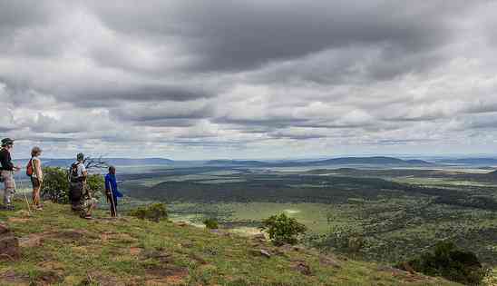 Will I see the Big 5 of Africa On My Walking Safari?