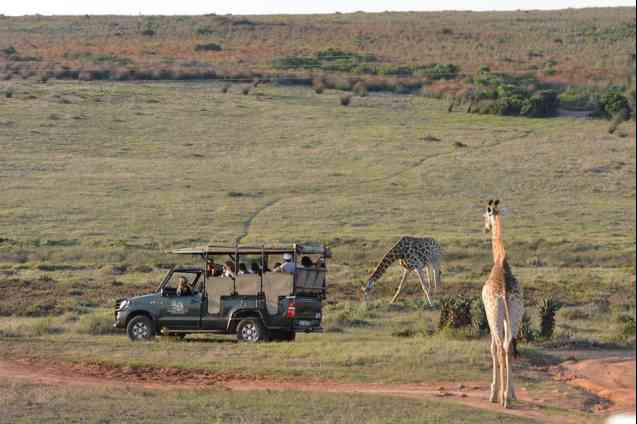 Garden Route Game Lodge