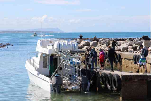 Shark diving boat, Gansbaai