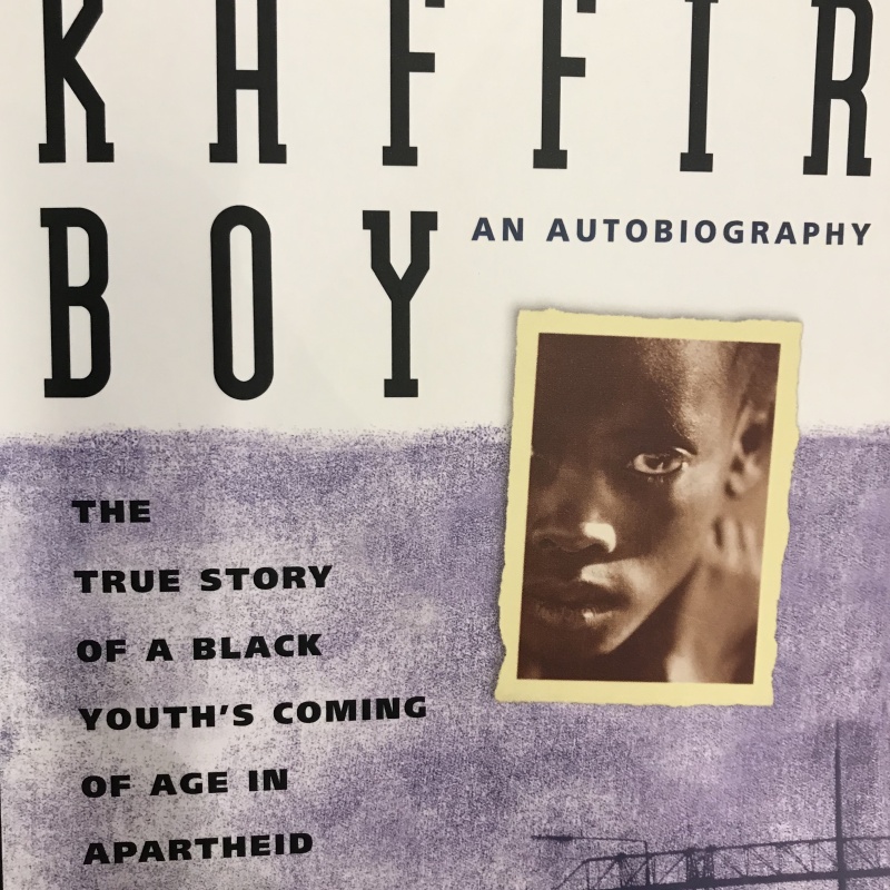 30 of the Best African Books African Budget Safaris