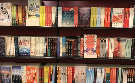 30 of the Best African Books