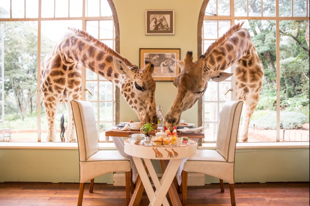 Breakfast at Giraffe Manor in Nairobi