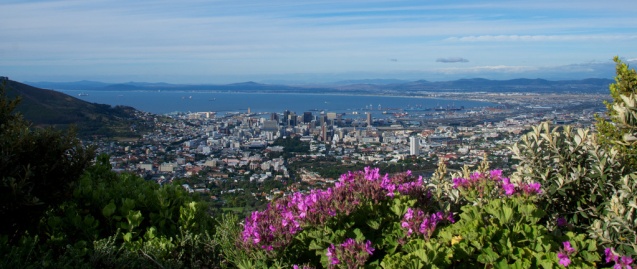 Cape town city bowl from table mountain