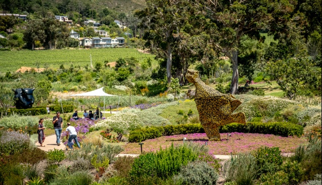 Norval foundation garden meander