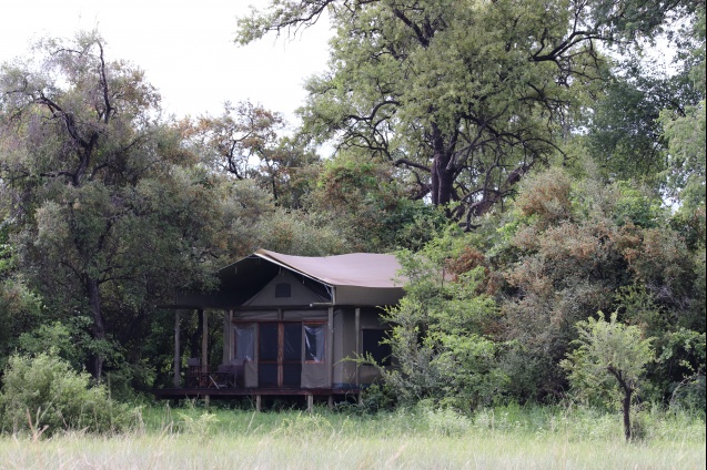 Delta camp in the bush