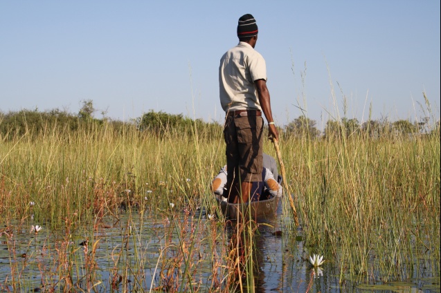 Mokoro in Okavango Delta