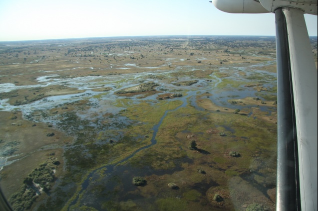 Scenic flight, delta