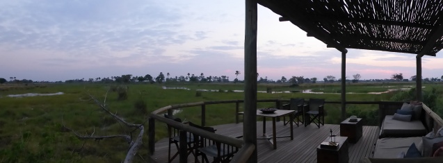 Views on safari