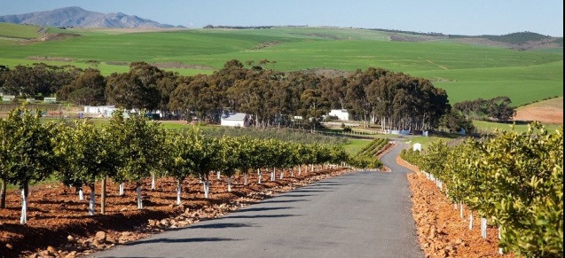 Botrivier Overberg town