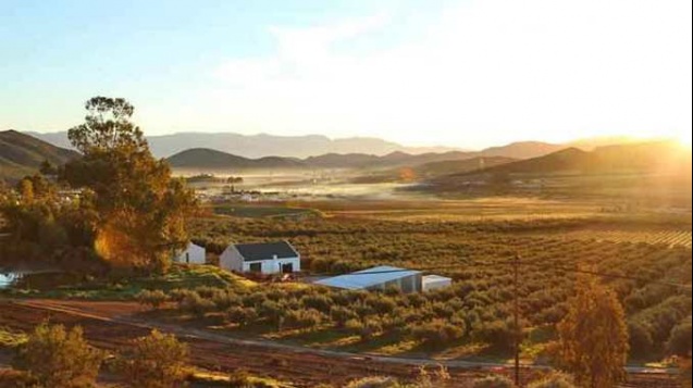 McGregor food and wine festival