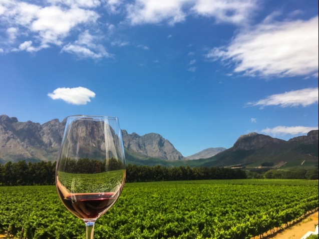 Franschhoek wine tasting, Western Cape