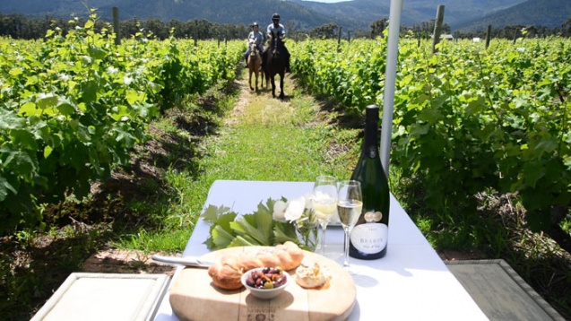 Wineland horseriding