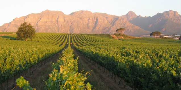 Kleine Zalze in Stellenbosch