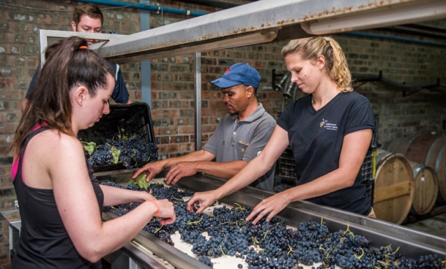Lammershoek wines