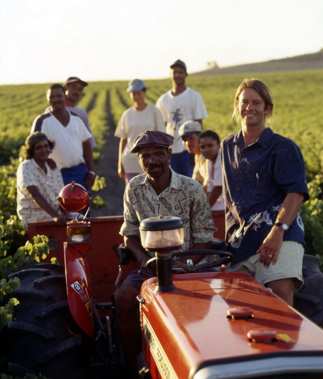 Organic wines reyneke