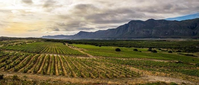 Springfontein