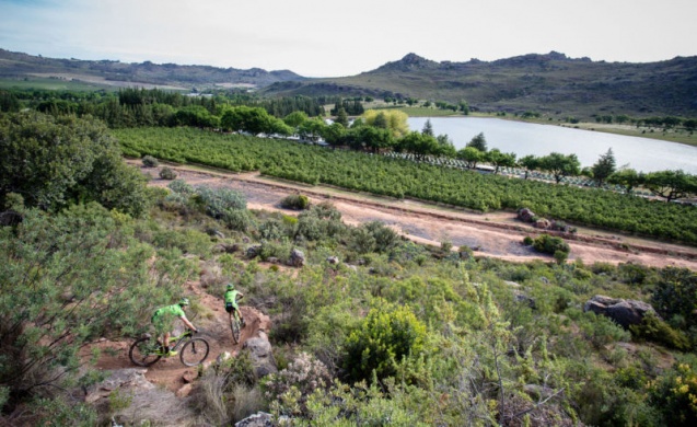 Swartland vineyard mountain biking-2