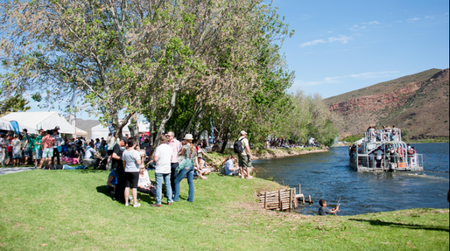 Wacky wine festival