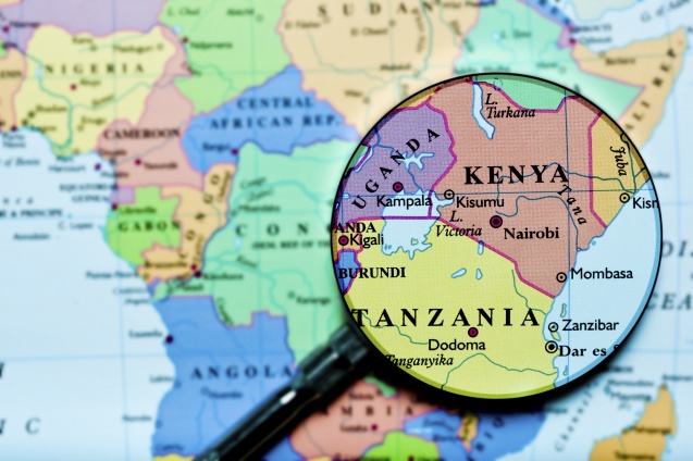 Kenya or Tanzania safaris