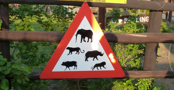Kruger National Park wildlife sign