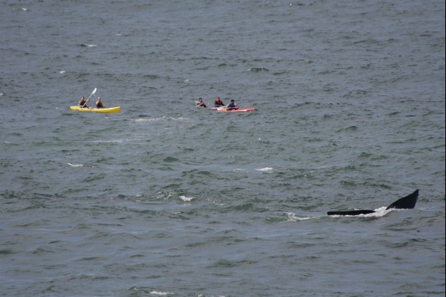 Kayaking