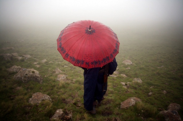 Umbrella in Simiens