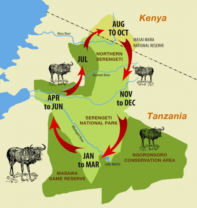 East Africa great migration