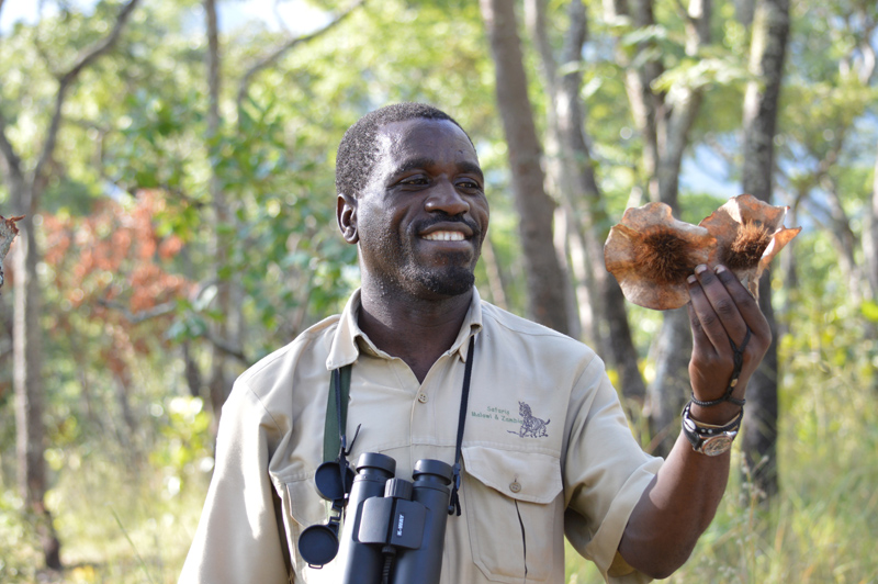 East Africa vs Southern Africa Safaris How to Choose Best Safaris