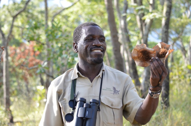 African safari guides