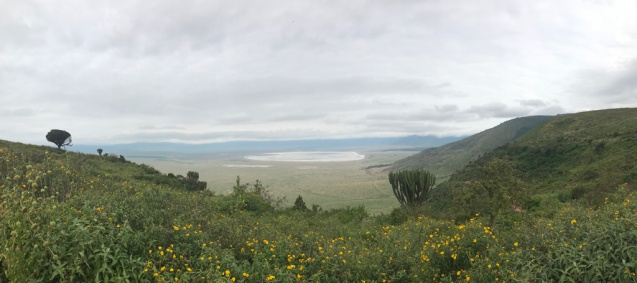 Ngorongoro Crater view, Tanzania