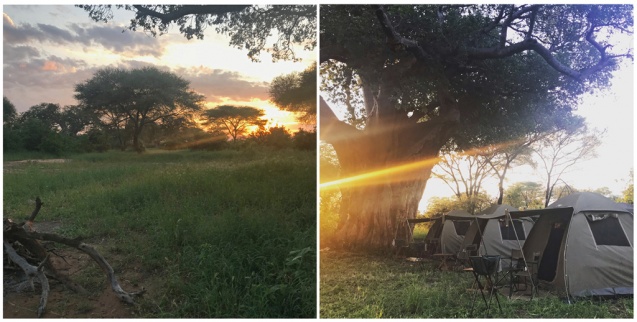 Tarangire safari camp in Tanzania