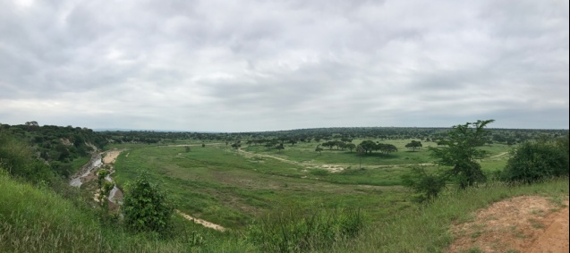 Tarangire Park on Tanzania Safari