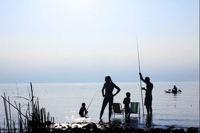 At the water's edge