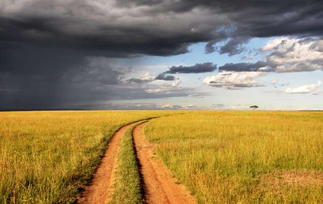 Storm ahead, African bush