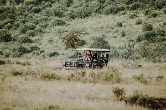 Safari drive