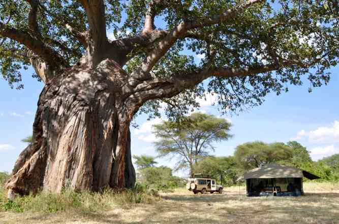Tanzania mobile camping tour