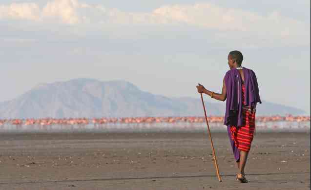 Tanzania safari cost