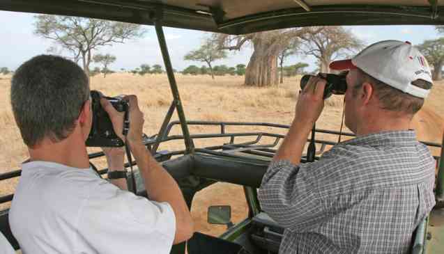 Tanzania safari drive