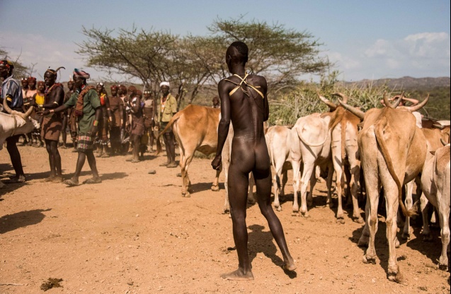 Bull jumping ceremony, Ethiopia