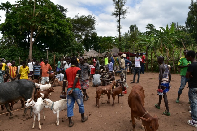 Omo valley village market