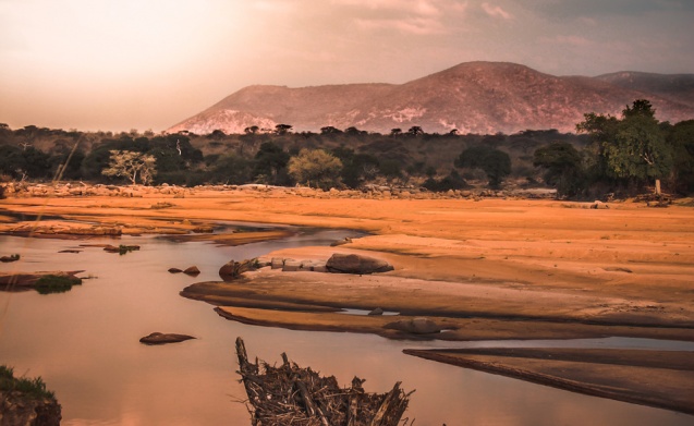Ruaha scenery, south Tanzania safari