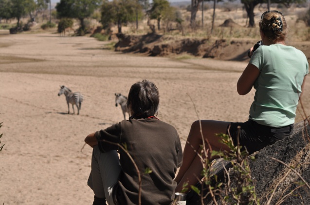 Ruaha safari walk, south Tanzania
